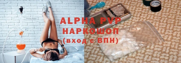 СК Алексин