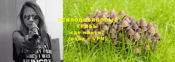а пвп мука Абдулино