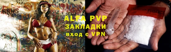 СК Алексин