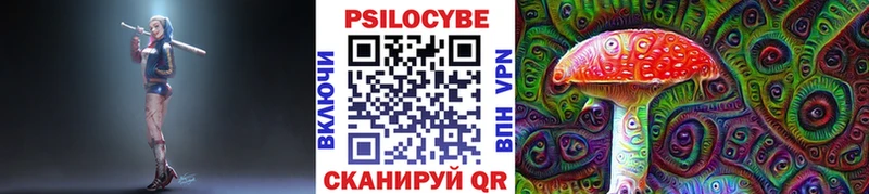 Галлюциногенные грибы мухоморы  продажа наркотиков  Камышлов 